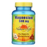 Nature's Life - Magnesium 500mg - 1 Each 1-100 Cap
