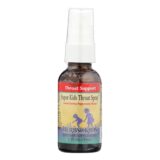 Herbs For Kids Super Kid's Throat Spray Peppermint, 1 Fl Oz