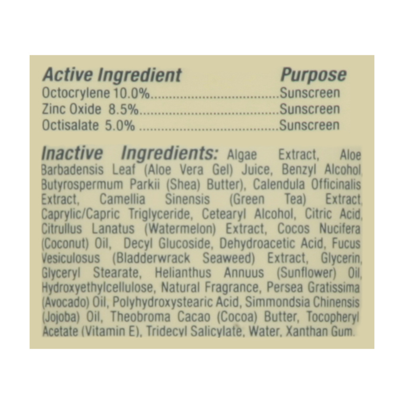 The Seaweed Bath Co - Snscrn Act Def Sprt Spf50 - 1 Each-3.4 Fz - Image 2