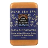One With Nature - Bar Soap Dead Sea Sulfur - 1 Each 1-7 Oz