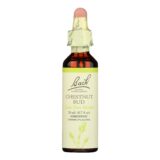 Bach Flower Remedies Essences Chestnut Bud, 0.7 Fl Oz